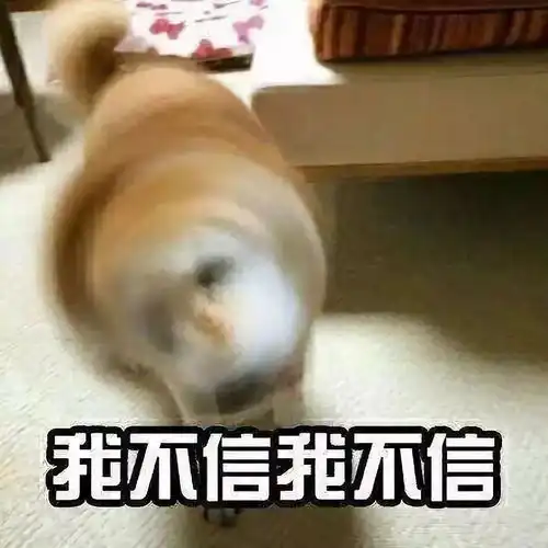 厉害达人的撩妹大法