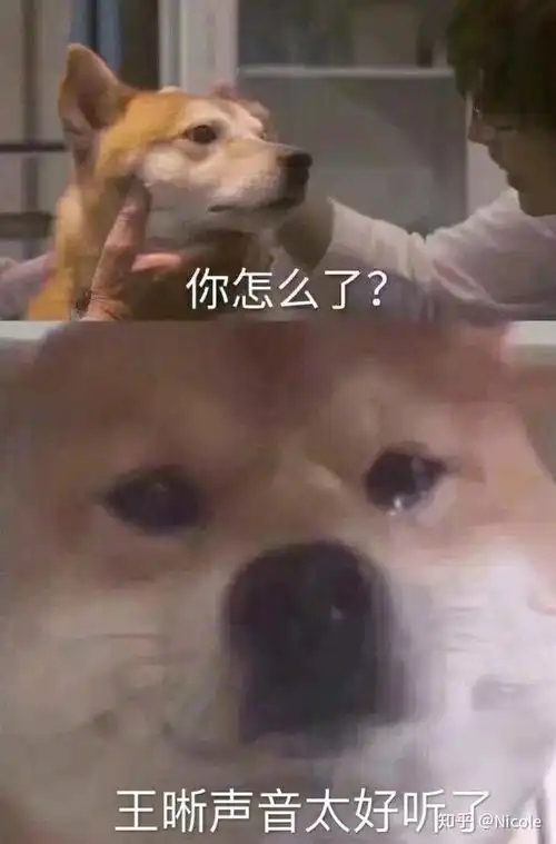 如何评价王晰演唱的谁