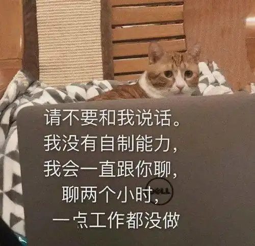 表情包沙雕动画好好学习