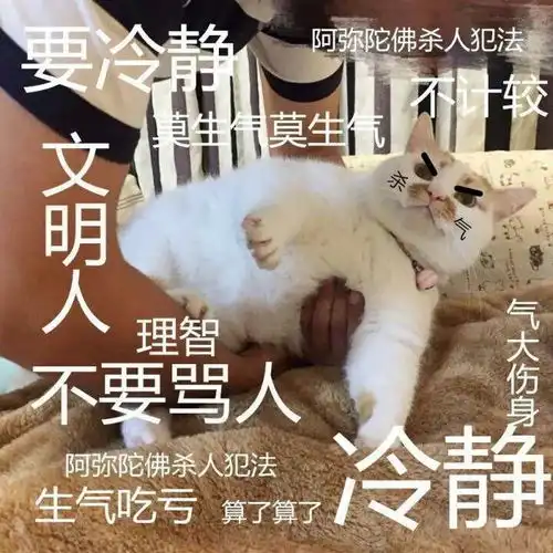 暴走不约表情包马云