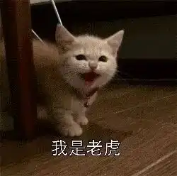 表情包你不能看我可爱就欺负我