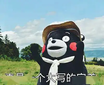 外国胖子表情包这只