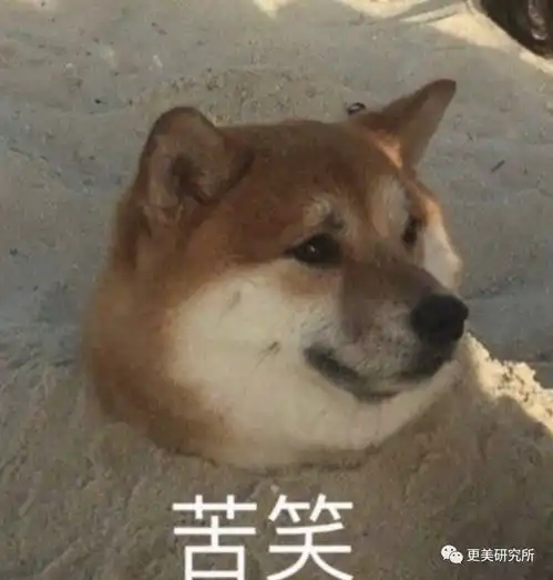 林志玲嫁到日本的第12个月,整的叛若两人