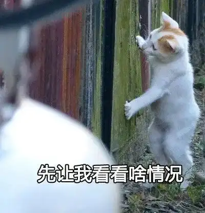 5000多万关注苏州这个网红要火