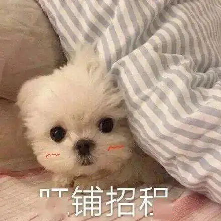 怀孕后,忘了孩子亲爸是谁求求你闭上嘴吧...
