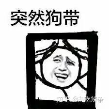 有个姐姐是什么体验