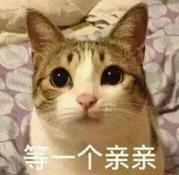 特别可爱小猫脸表情的女包牌子