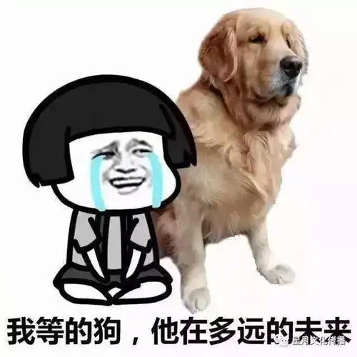 泸州十大单身职业排行榜终于知道自己为什么单身了