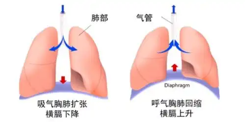 健身党最易做错的动作,没有之一
