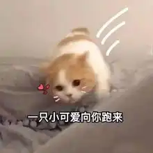 男票沉迷游戏试试这波表情包,男友确认过眼神是惹不起的人