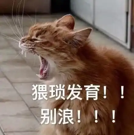 王者荣耀搞笑表情图我凭勇气开的团,为什么说我瞎带节奏