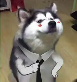 你最爱的美剧是哪一部