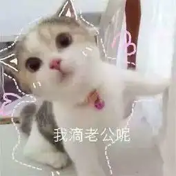 dear视频直播全集dear资料大全yy官方