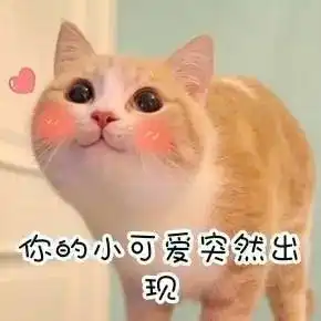 长沙妹陀我历任男朋友大多都是狗