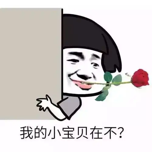 小仙女生日表情包幽默笑