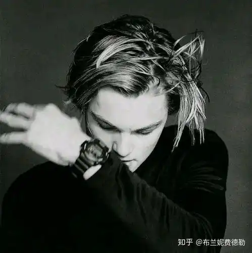 为什么莱昂纳多有那么多男粉丝