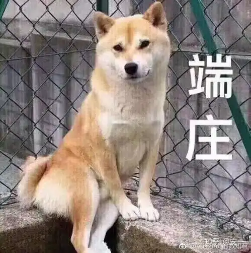 iphonexr的实际体验如何
