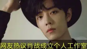 肖战自画像肖战专访最喜欢自己的鼻子部分,随手勾勒的线条自画像,战战的画功也太好了