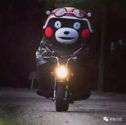 电瓶车防盗指南来了注意保护你的电瓶车