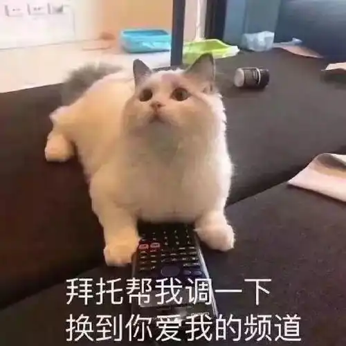 撩女朋友的表情包30张撩妹必备情话表情
