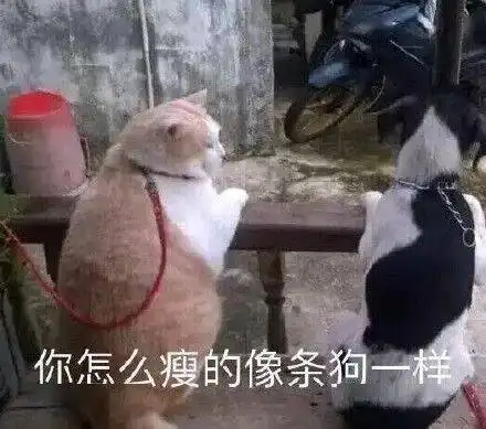 两个小白人摸头表情包不