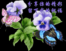 今天3.14白色情人节祝福到送你一首好听的歌祝你白色情人节快乐
