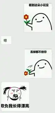 大神撩妹套路聊天记录泄漏,终于学到一手附上表情包