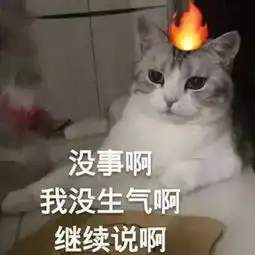 99的连篇骚话,却输给了1的表情包