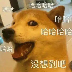 长寿菌akk最新研究姜黄素的延寿功臣,但中国人可能更缺