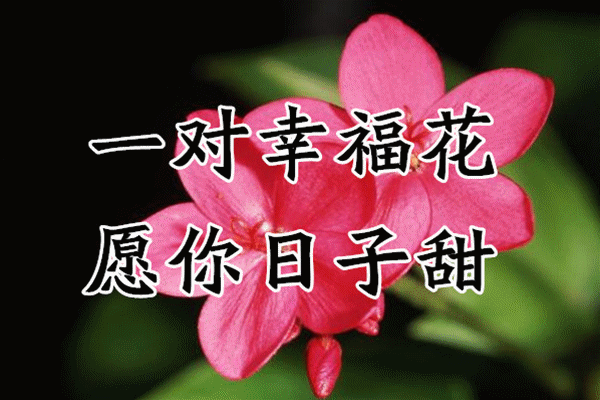 2021情人节祝福动图