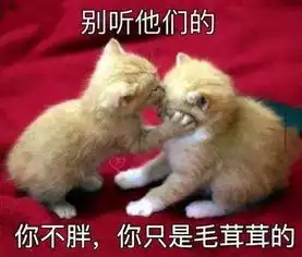 听讲广东人食鸡好犀利矛有错,尤其系茂名人
