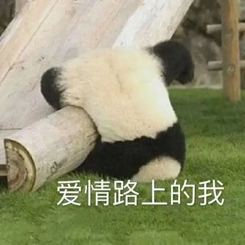 搞笑斗图表情包小学沙雕