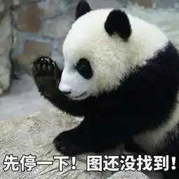 招新季我们是商学院学生会