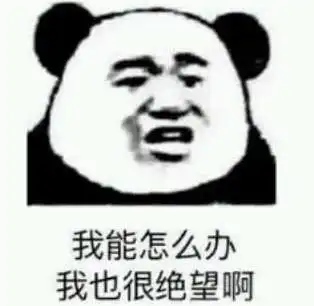 熊猫表情包我都找不到表情包来描述心情了