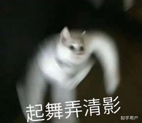 三团表情包什么动物讲道