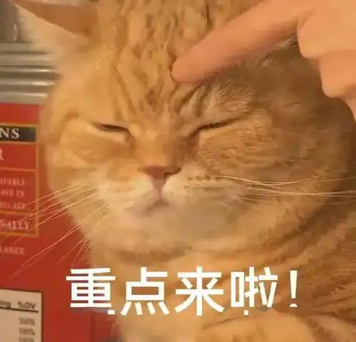 在线求薅羊毛技巧