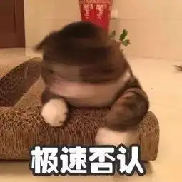 追随内心我的2018年度总结姚舜不二