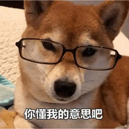 原来还有适合雅思小白的英文新闻这也太实用了吧