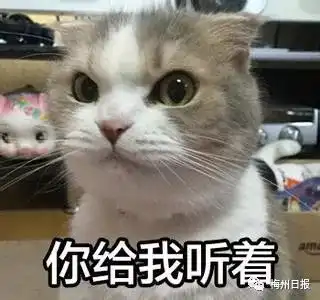 台风到底生成了吗未来对梅州的影响是周末还可以约
