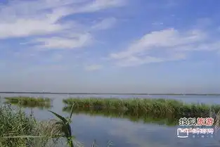 野趣纵横七里海赶海捉螃蟹