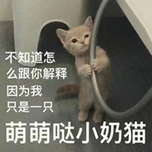 全民迎战双十二,限时打折返返返