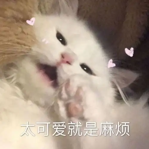 文案日常生活碎片文案