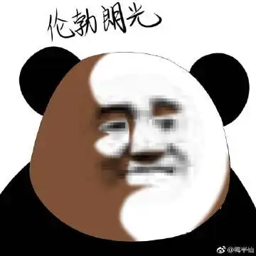 熊猫脸说人胖的表情包熊