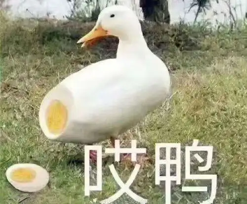 搞笑斗图表情包小学最好