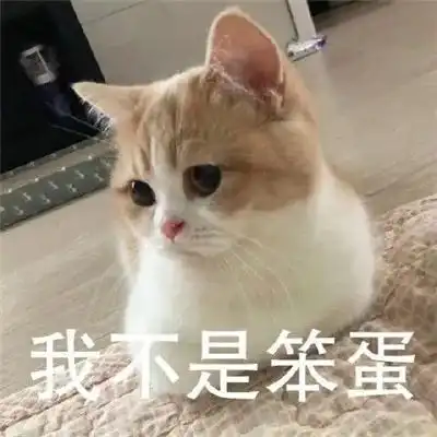 太过分了素食主义女朋友逼我扔掉猫,竟因为它吃肉