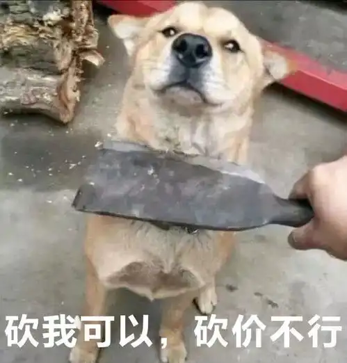 表情包年轻人应该和妈妈学学砍价