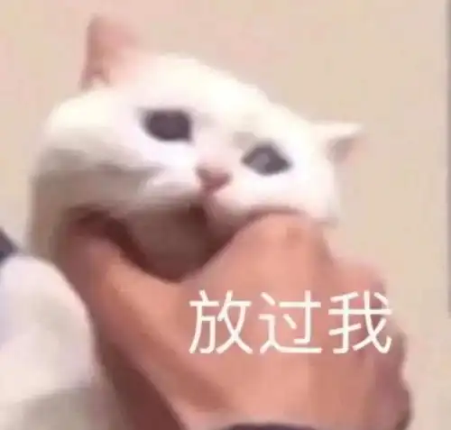 一起赚钱表情包快乐