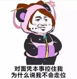 王者荣耀我凭本事跑的路表情包王者荣耀凭本事表情包下载无水印高清腾牛下载
