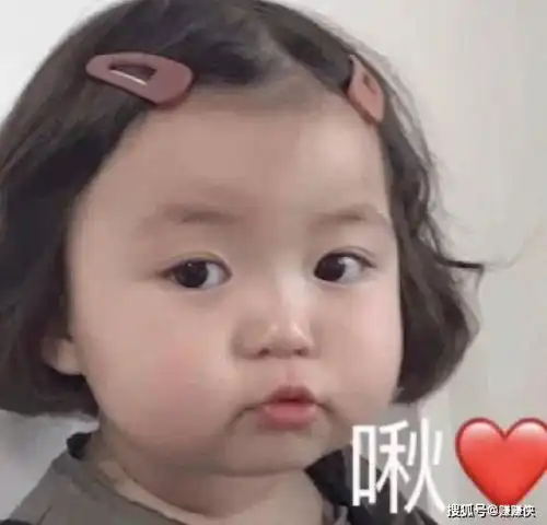 最新热门表情包图片姐姐搞笑了,我就盯到你喜欢我为止