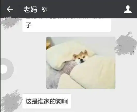 有一种表情包代沟叫敬你一杯兰色水晶